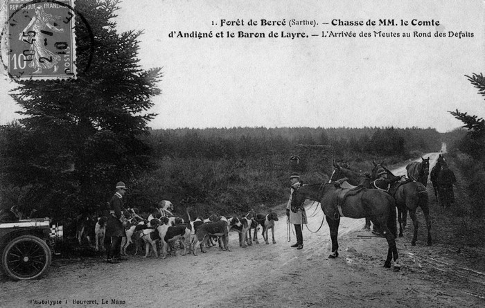 Trois équipages (Champchevrier, Rallyes Bercé et Sapinette) en forêt de Bercé - Don de M. P. Mauranges à la Société de Vènerie